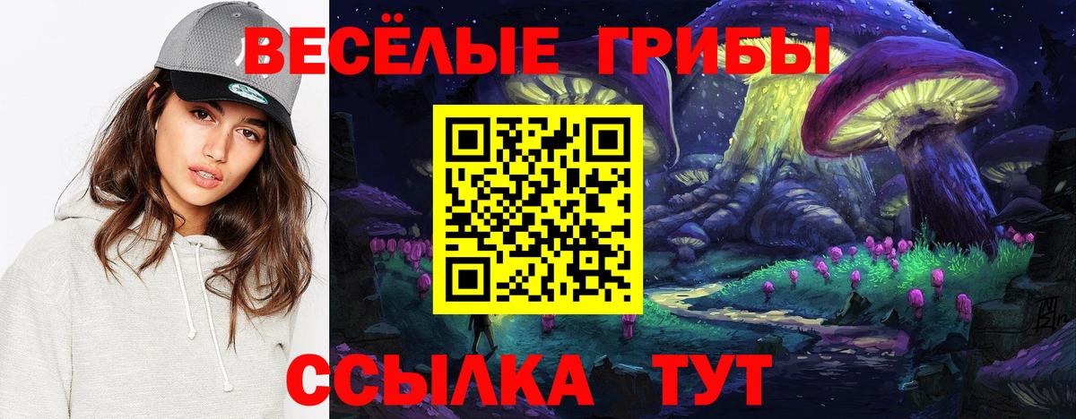 Псилоцибиновые грибы MAGIC MUSHROOMS Хабаровск